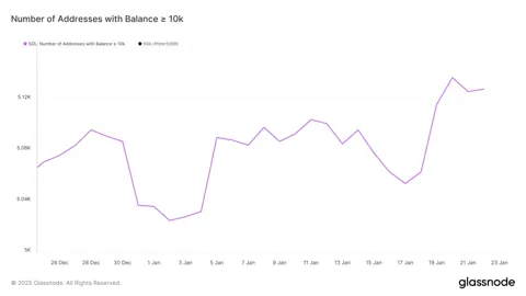 Solana скорректировалась на 14,5% после ATH, но киты продолжают покупать