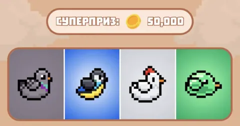 Обновление комбо Bird Ton 8 декабря