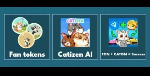 Комбо карты Cat gold miner на 3 декабря