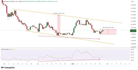 Цена PENGU показывает рост при падении настроений на 95%: возможен ли разворот