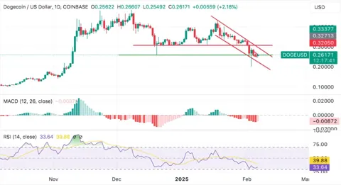 Рынок мемкоинов упал на 37%: готов ли он к росту?