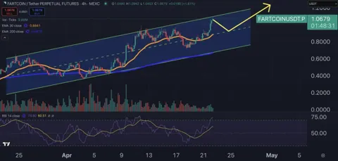 Fartcoin растет на 109% за месяц, пока остальной рынок падает — будет ли новый рывок?