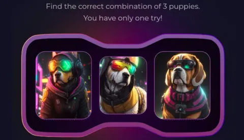 Комбо в Not Bored Puppies на 15 Января
