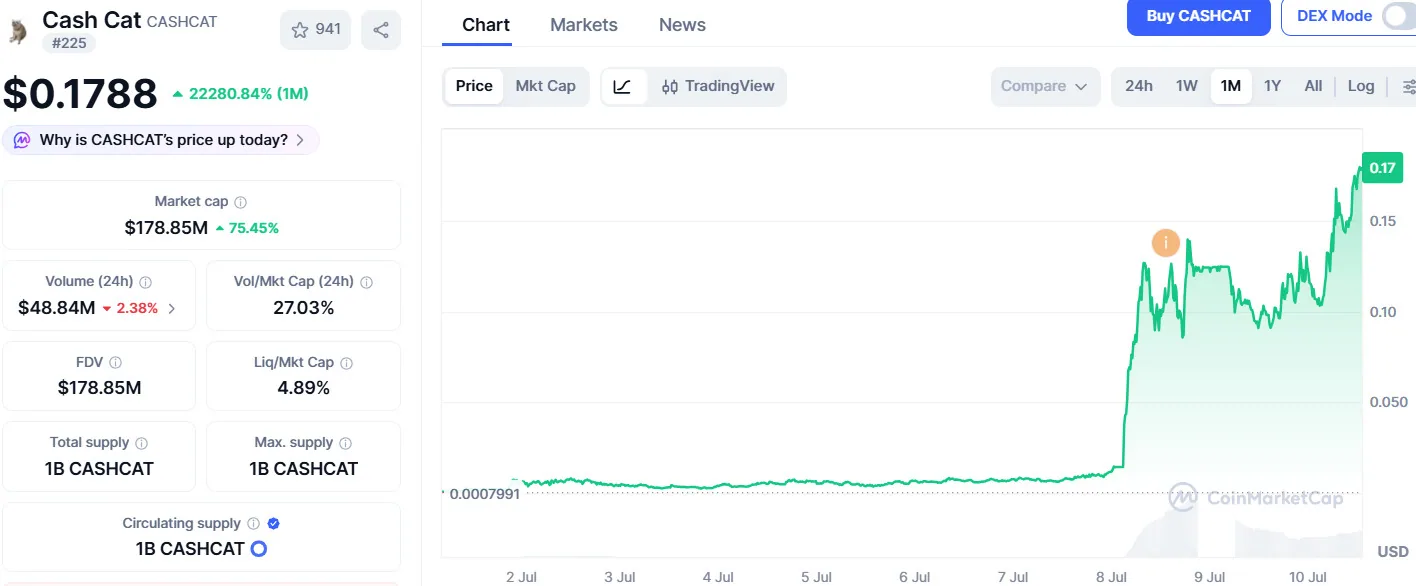 Cash Cat Price Performance