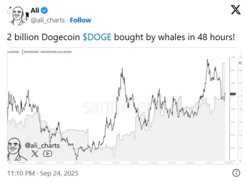 Киты скупили 2 млрд DOGE — аналитики видят потенциал роста до $1,30