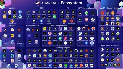 Starknet усиливает позиции: как экосистема меняет рынок в 2025 году