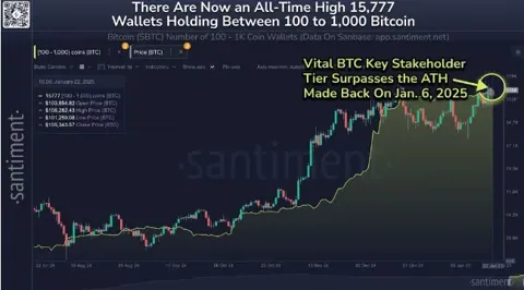 Биткоин-кошельки, хранящие от 100 до 1000 BTC, достигли рекордного максимума