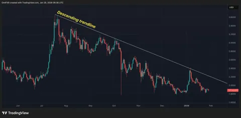 Число крупных кошельков XRP снова растет, несмотря на слабую цену