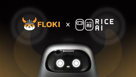 Rice Robotics запускает Floki-робота и готовит аирдроп токенов RICE