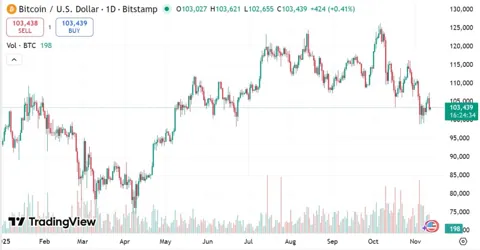 Morgan Stanley: биткоин вступил в «осеннюю» фазу цикла — инвесторам пора собирать урожай