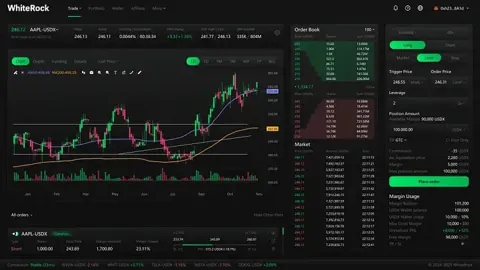 WhiteRock: токенизация акций и облигаций на блокчейне