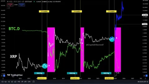 Эксперт прогнозирует дно XRP через 31 неделю после халвинга биткоина, нацеливаясь на $26 при восстановлении