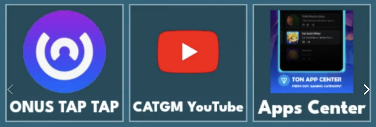Cat Gold Miner комбо дня 5 ноября