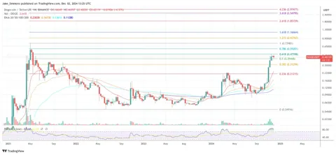 5 декабря – ключевая дата для дальнейшего роста DOGE