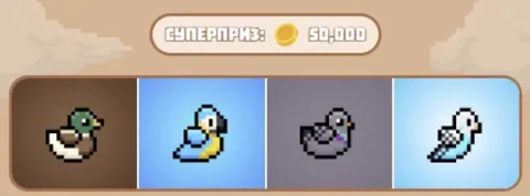 Обновление комбо Bird Ton 9 ноября