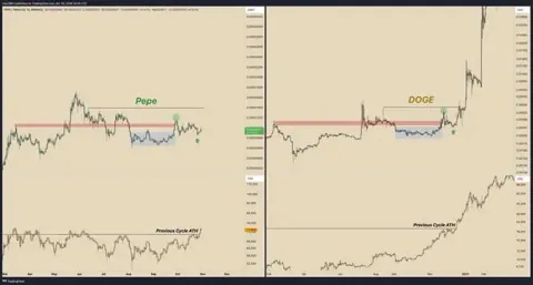 Повторит ли PEPE успех Dogecoin?