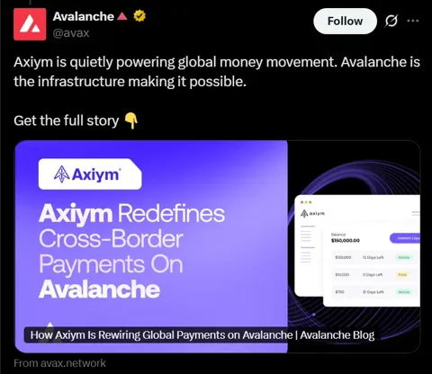 Axiym на базе Avalanche автоматизирует кроссбордер-платежи для MSB