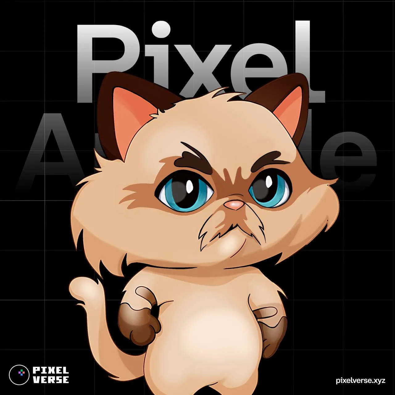 pixeltap by pixelverse daily combo 5 августа