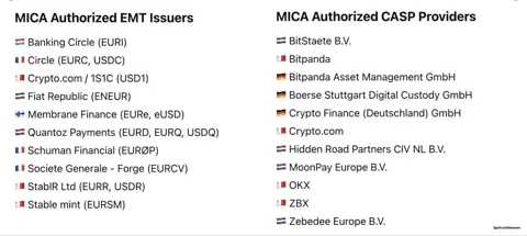 10 эмитентов стейблкоинов получили одобрение по MiCA от ЕС — Tether не в списке
