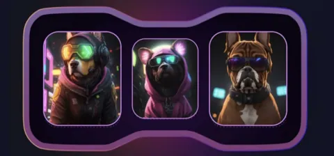 Комбо в Not Bored Puppies на 2 декабря