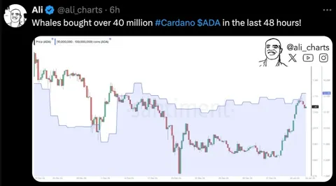 Cardano становится одним из лидеров по росту среди топ-20 за неделю