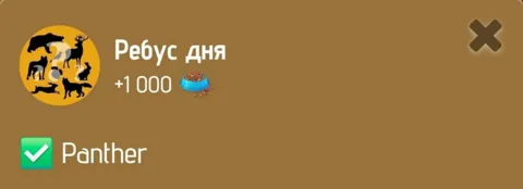 Ребус Дня Zoo 24 Января 2025 Года