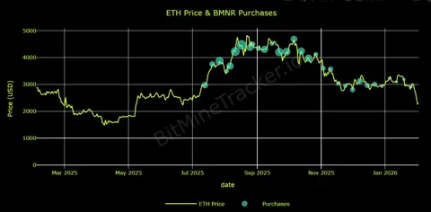 Корпоративные держатели Ethereum столкнулись с миллиардными убытками на падении рынка