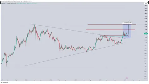 Chainlink (LINK) готов к росту до $36? Киты накапливают токен