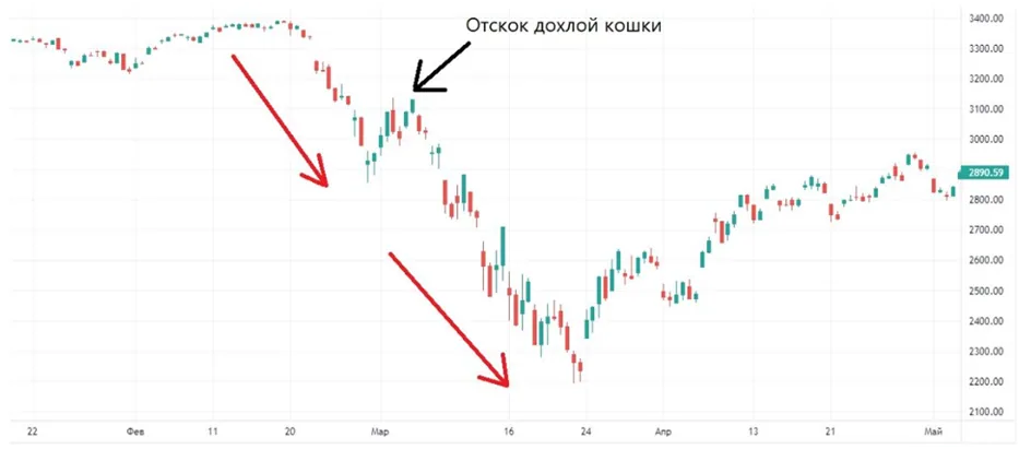 image2 После прыжка дохлой кошки цена на графике продолжила падать