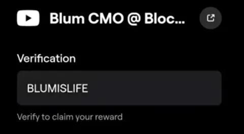 Новые Коды в Игре Blum 14 Декабря