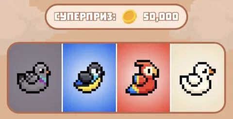 Обновление комбо Bird Ton 2 ноября