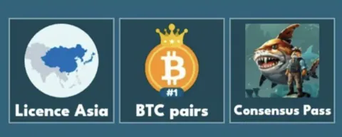 Комбо карты Cat gold miner на 28 ноября
