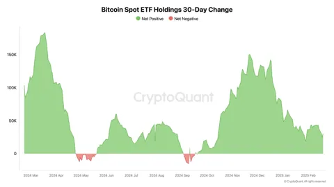 Спрос на Bitcoin ETF снижается, стоит ли волноваться?