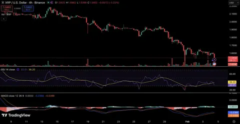 Bank of America раскрыл инвестиции в XRP-ETF на фоне расширения Ripple в Европе