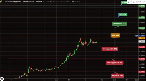 Dogecoin приближается к $1: аналитик определяет ключевые точки сопротивления и поддержки