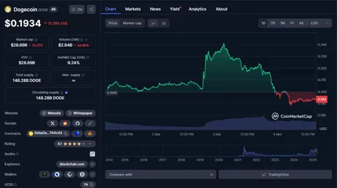 NYSE Arca подала заявку на листинг Bitwise Dogecoin ETF — ждать ли одобрения от SEC?