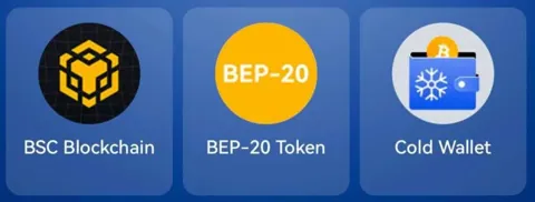 В игре Tapcoins представляются новые карточки для выполнения комбо дейлика на 25 ноября