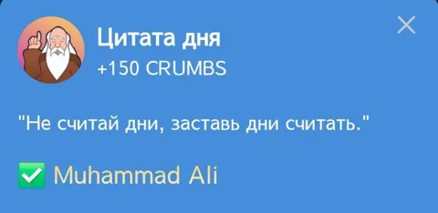 В Игре Hrum Представляется Новая Цитата Дня Для Выполнения Комбо Дейлика на 27 Января