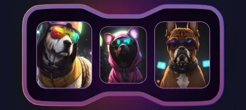 Комбо в Not Bored Puppies на 20 ноября