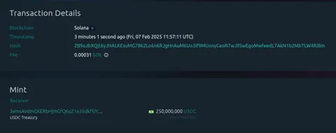 $250M USDC, которые были отчеканены Circle, намекают на возвращение бычьего рынка – пора откупать?