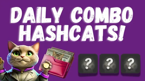 Комбо дня в тапалке Hashcats 4 декабря