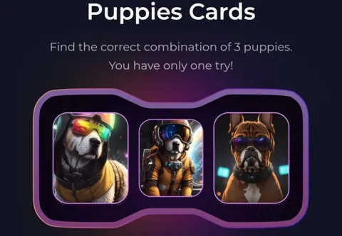 Комбо в Not Bored Puppies на 10 декабря