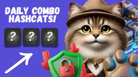 Комбо дня в тапалке Hashcats 31 октября