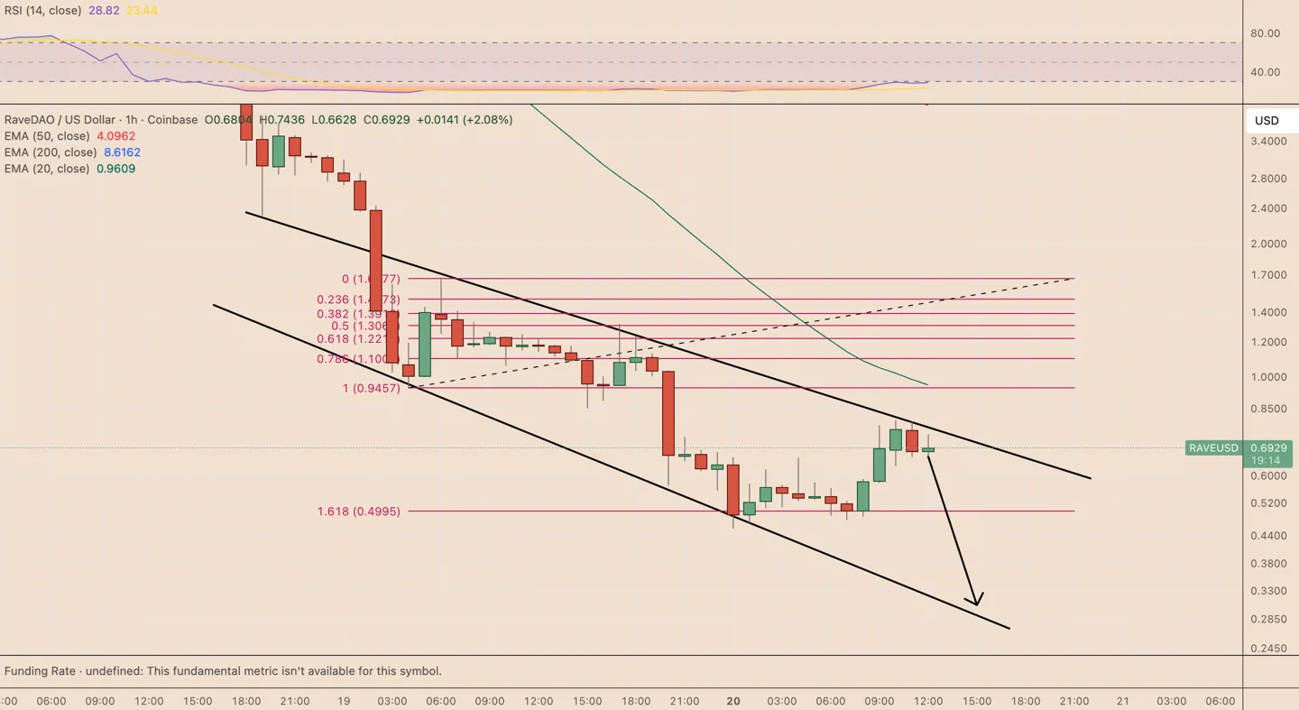 RAVE/USD daily chart