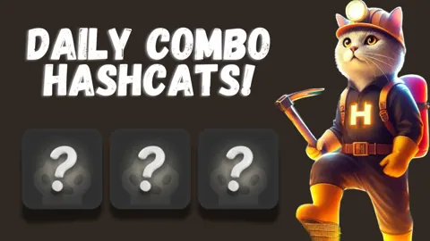 Комбо дня в тапалке Hashcats 21 ноября