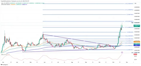 Достижима ли цена в $0,00010 для BONK после того, как скачок на 221% вывел его в топ-30?