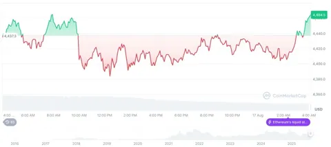 Семья Трампа могла инвестировать в WBTC и ETH