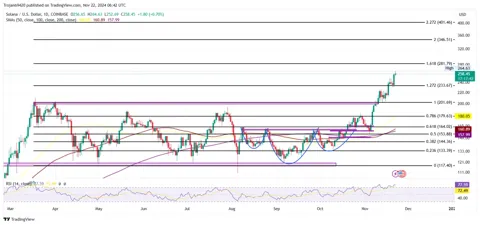 Solana достигла пика популярности на отметке $264: станет ли $300 следующей вехой?