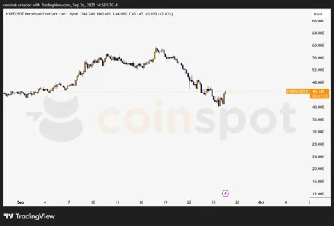 Bitwise подал заявку на запуск HYPE ETF, пока SEC откладывает решения по альткоинам