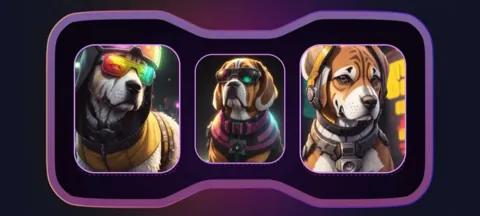 Комбо в Not Bored Puppies на 9 декабря